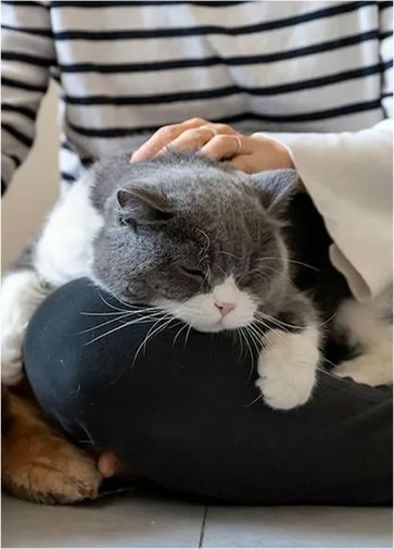 旧书堆里捡星光